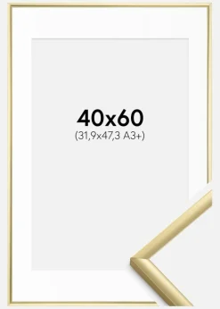 Ramme New Lifestyle Guld 40x60 cm - Passepartout Hvid 32,9x48,3 cm (A3+)