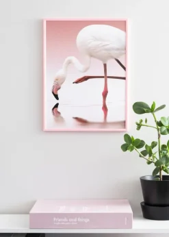 Ramme New Lifestyle Lyserød 60x80 cm - Passepartout Hvid 50x70 cm