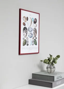 Ramme New Lifestyle Rød 70x100 cm - Passepartout Hvid 61x92 cm