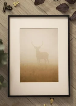 Ramme Nielsen Premium Alpha Mat Sort - Valgfri Størrelse (Akrylglas)