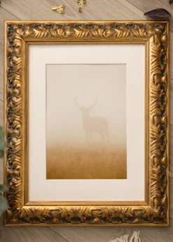 Ramme Odin Guld/Rød - Valgfri Størrelse (Akrylglas)