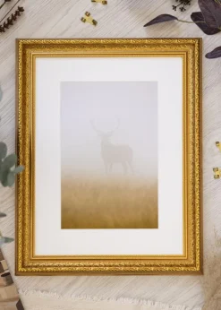Ramme Ornate Guld 60x80 cm - Passepartout Hvid 20x28 inches