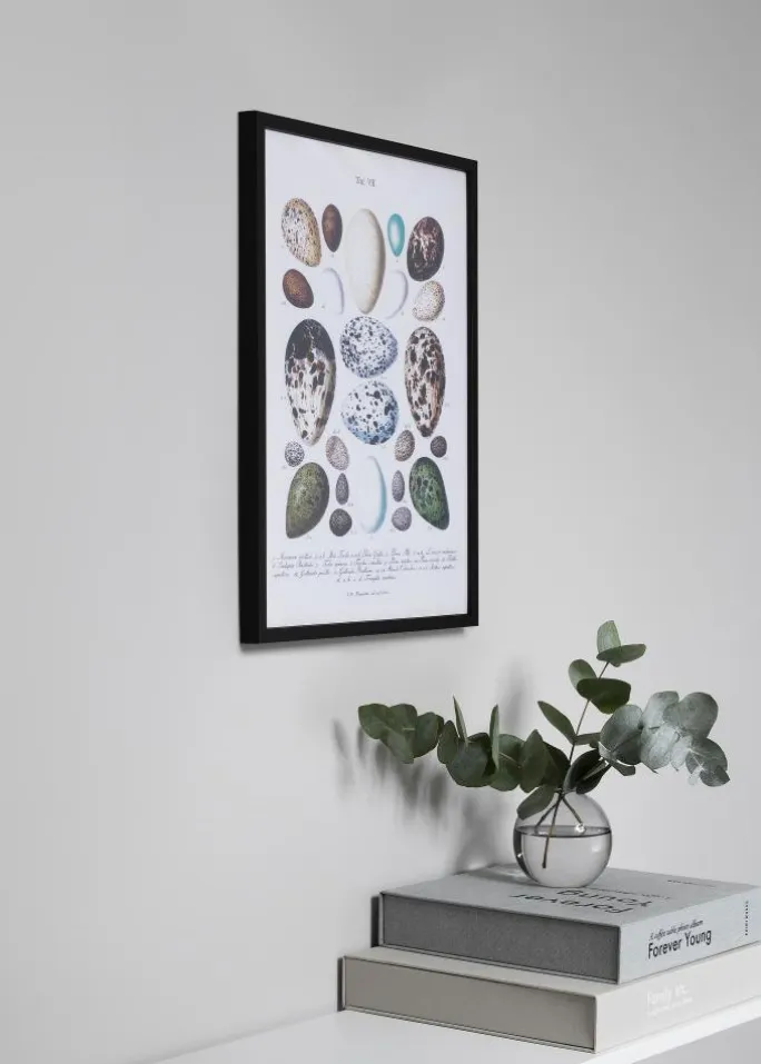 Ramme Oslo Sort 60x80 cm - Passepartout Hvid 50x60 cm