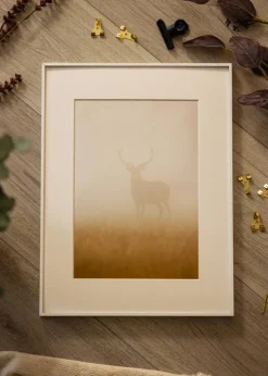 Ramme Paris Hvid - Valgfri Størrelse (Plexiglas)