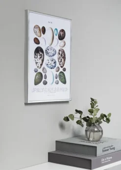 Ramme Poster Frame Aluminum Sølv 70x100 cm - Passepartout Sort 59,4x84 cm (A1)