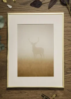 Ramme Poster Frame Aluminum Gold 70x100 cm - Passepartout Hvid 59,4x84 cm (A1)