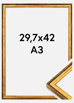Ramme Ringa Akrylglas Guld 29,7x42 cm (A3)