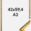 Ramme Ringa Akrylglas Guld 42x59,4 cm (A2)