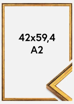 Ramme Ringa Akrylglas Guld 42x59,4 cm (A2)