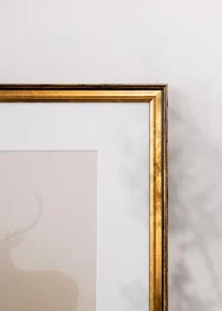 Ramme Ringa Akrylglas Guld 42x59,4 cm (A2)