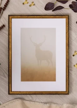 Ramme Ringa Akrylglas Guld 50x70 cm