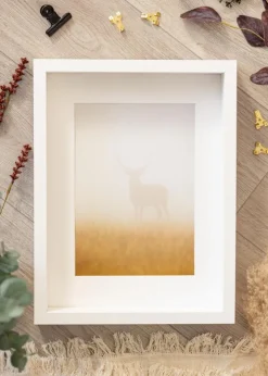 Ramme Sala Hvid - Valgfri Størrelse (Plexiglas)