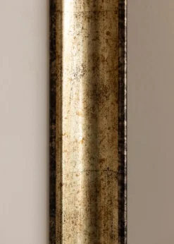 Ramme Saltsøbadet Antikguld - Valgfri Størrelse (Plexiglas)