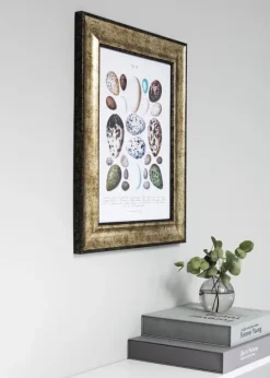 Ramme Saltsjöbaden Antikguld 40x60 cm - Passepartout Sort 32,9x48,3 cm (A3+)