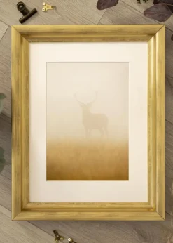 Ramme Sandarne Guld - Valgfri Størrelse (Plexiglas)