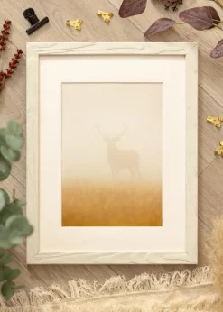 Ramme Segenäs Hvid - Valgfri Størrelse (Plexiglas)