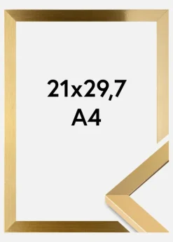 Ramme Selection Akrylglas Guld 21x29,7 cm (A4)