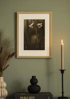 Ramme Selection Akrylglas Eg 62x100 cm