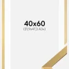 Ramme Selection Guld 40x60 cm - Passepartout Hvid 32,9x48,3 cm (A3+)