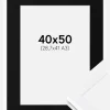 Ramme Selection Hvid 40x50 cm - Passepartout Sort 29,7x42 cm (A3)