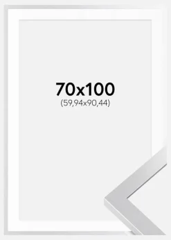Ramme Selection Sølv 70x100 cm - Passepartout Hvid 24x36 inches