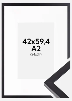 Ramme Selection Sort 42x59,4 cm (A2) - Passepartout Hvid 25x38 cm