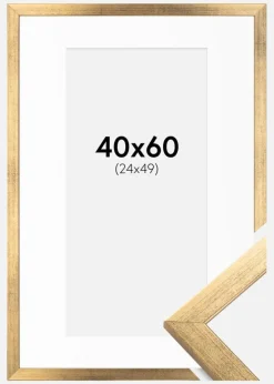 Ramme Stilren Guld 40x60 cm - Passepartout Hvid 25x50 cm