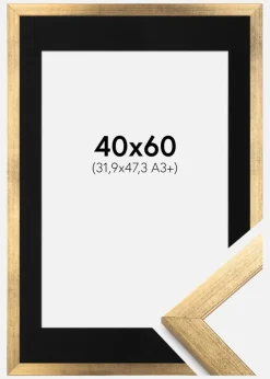 Ramme Stilren Guld 40x60 cm - Passepartout Sort 32,9x48,3 cm (A3+)
