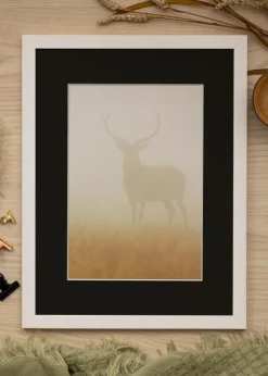 Ramme Stilren Hvid 50x70 cm - Passepartout Sort 42x59,4 cm (A2)