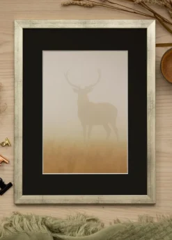 Ramme Stilren Sølv 30x30 cm - Passepartout Sort 8x8 inches