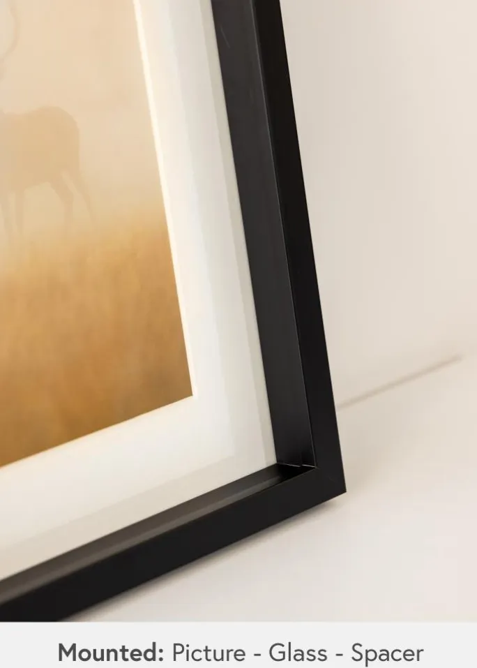 Ramme Thor Sort - Valgfri Størrelse (Akrylglas)