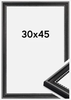 Ramme Trellis Akrylglas Sort 30x45 cm