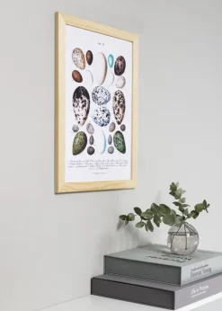 Ramme Trendline Natur 60x80 cm - Passepartout Hvid 49,3x69,3 cm