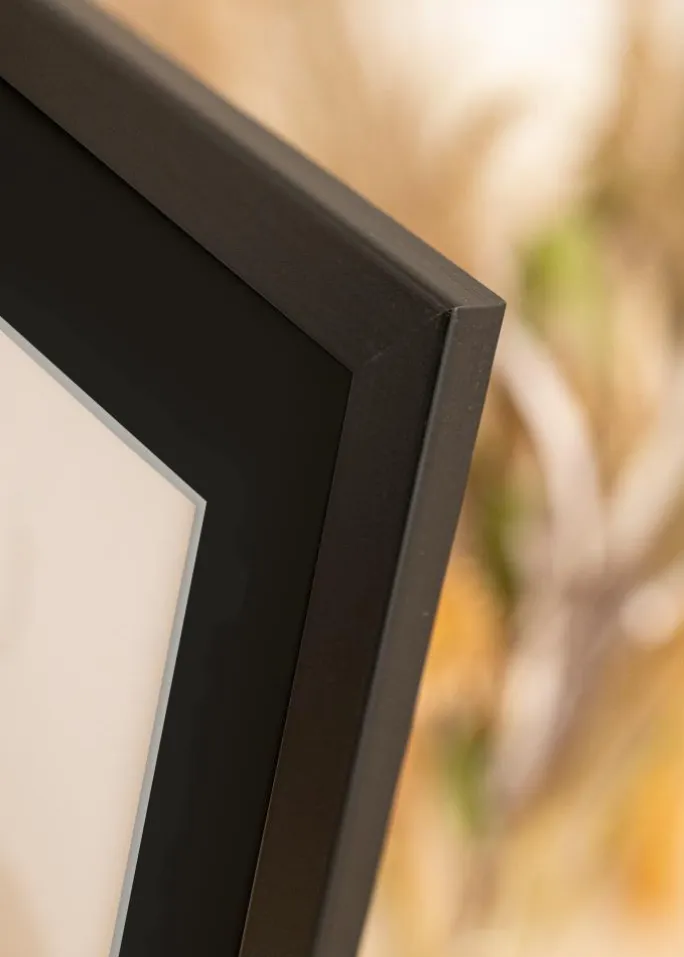 Ramme Trendline Sort 60x90 cm - Passepartout Sort 50x75 cm