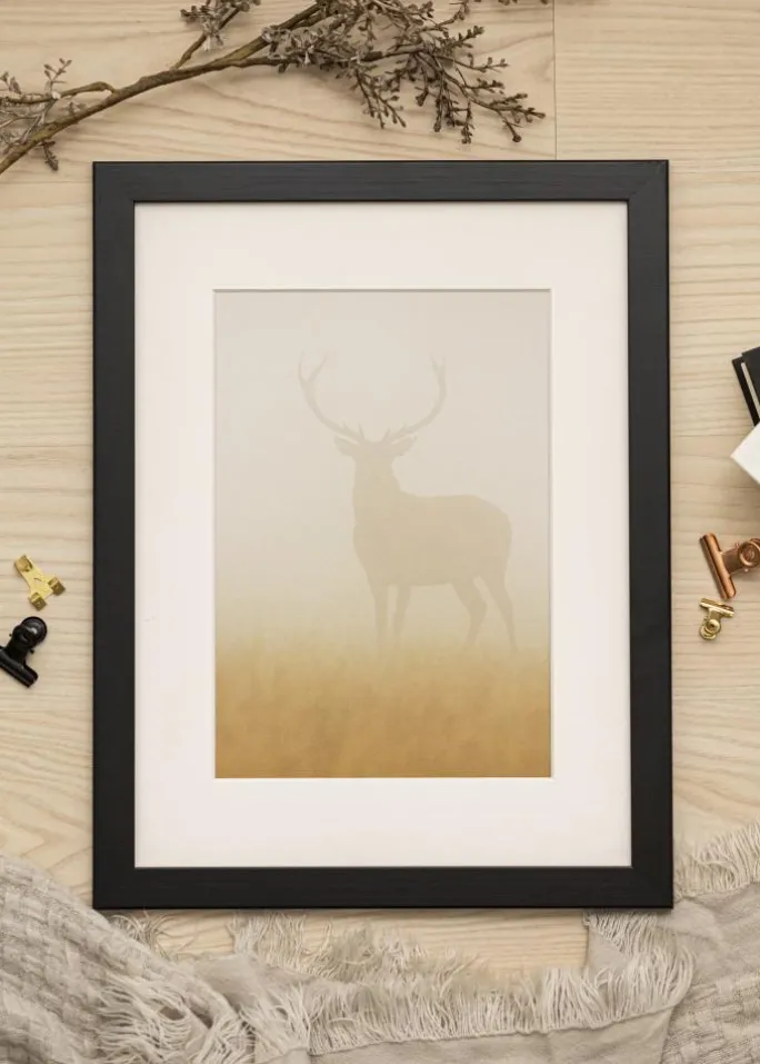 Ramme Trendline Sort 30x40 cm - Passepartout Hvid 8x12 inches