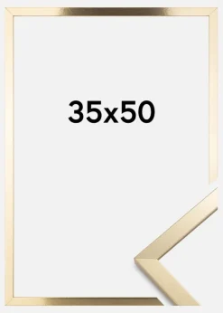 Ramme Trendy Akrylglas Guld 35x50 cm