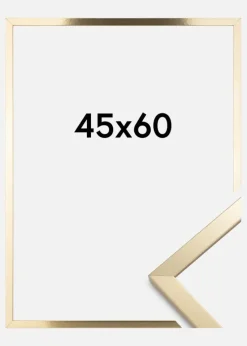 Ramme Trendy Akrylglas Guld 45x60 cm