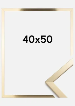 Ramme Trendy Akrylglas Guld 40x50 cm