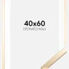 Ramme Trendy Guld 40x60 cm - Passepartout Hvid 32,9x48,3 cm (A3+)