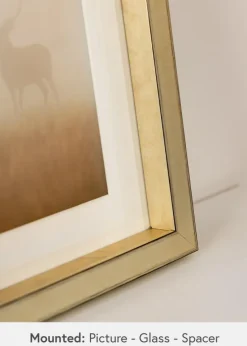 Ramme Tyr Guld - Valgfri Størrelse (Akrylglas)