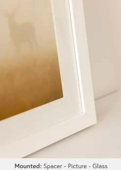 Ramme Tyr Hvid - Valgfri Størrelse (Akrylglas)