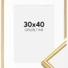 Ramme Victoria Guld 30x40 cm - Passepartout Hvid 21x29,7 cm (A4)