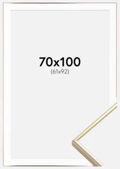 Ramme Visby Blank Guld 70x100 cm - Passepartout Hvid 62x93 cm