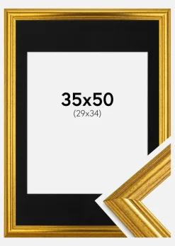 Ramme Västkusten Guld 35x50 cm - Passepartout Sort 30x35 cm
