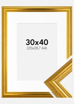 Ramme Västkusten Guld 30x40 cm - Passepartout Hvid 21x29,7 cm (A4)