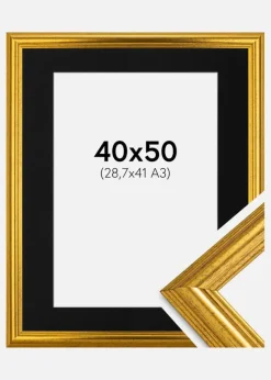 Ramme Västkusten Guld 40x50 cm - Passepartout Sort 29,7x42 cm (A3)