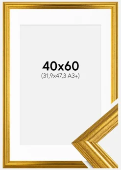 Ramme Västkusten Guld 40x60 cm - Passepartout Hvid 32,9x48,3 cm (A3+)