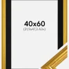 Ramme Västkusten Guld 40x60 cm - Passepartout Sort 32,9x48,3 cm (A3+)