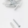 Rawplugs 30 x 6 mm med skrue 10-p