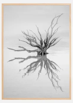 Reaching Out Plakat (21x29.7 cm (A4))